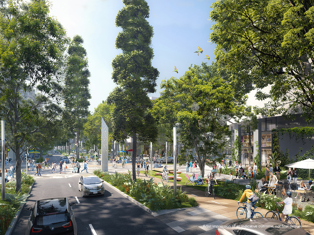 Grey Street bikeway and streetscape preliminary design investigations