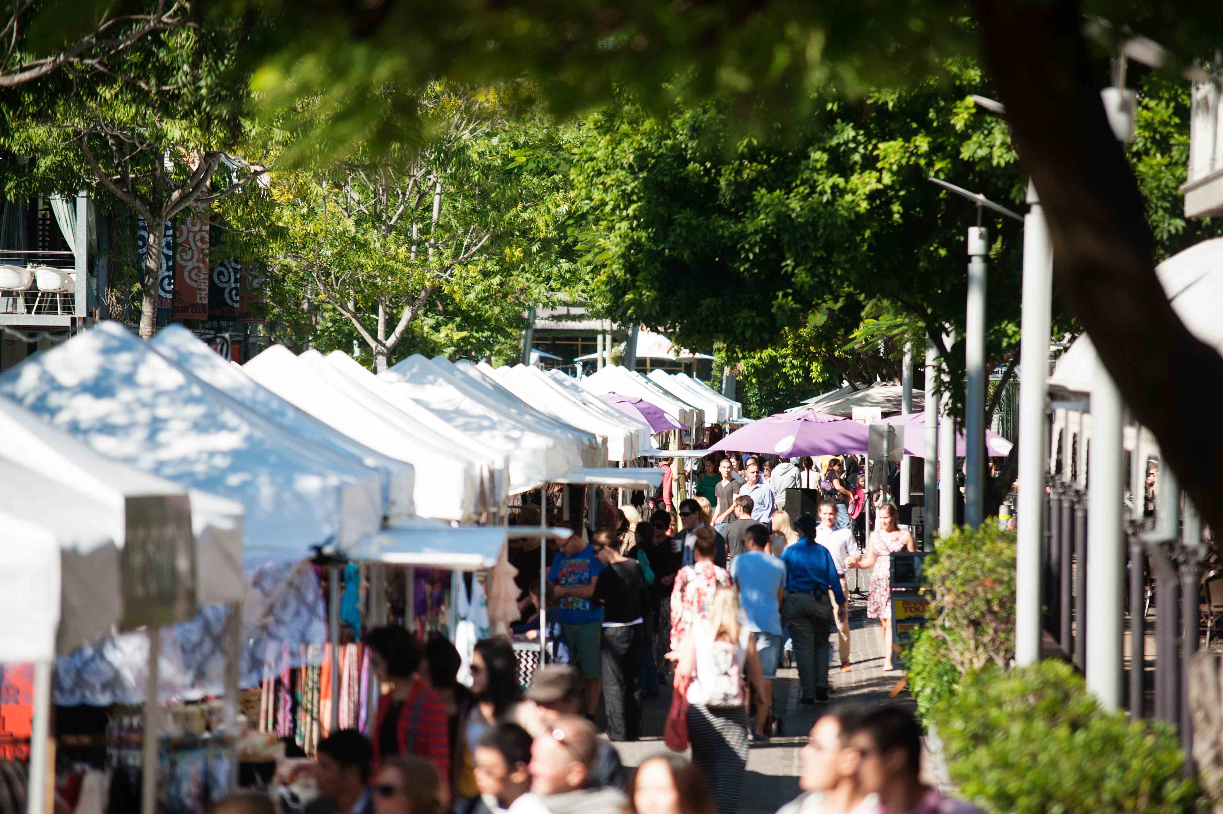 10-Year Anniversary 'Into the Park' at Southbank Parklands - Lawn Solutions  Australia